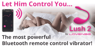 Lovense lush 2 wireless bluetooth vibrator online