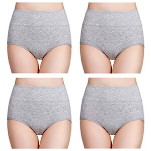 wirarpa Womens High Waisted Cotton Underwear Ladies Soft Full Briefs Panties Multipack 0